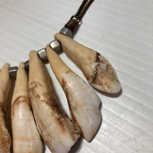 Wild Boar Tooth Necklace African Tribal Style - Picture 4 of 12